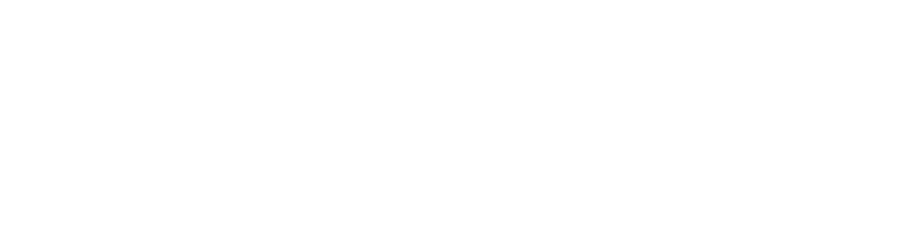 Primal Race